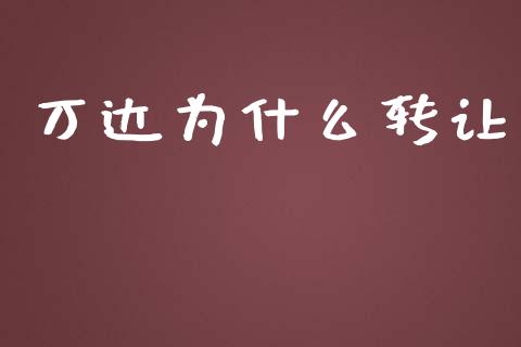 万达为什么转让_https://wap.jnlaobingbanjia.com_基金分析_第1张