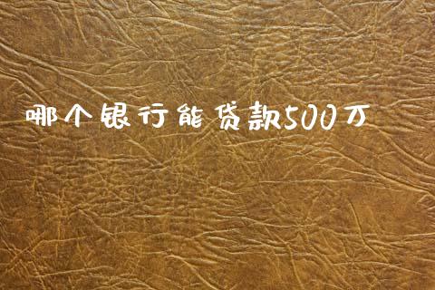 哪个银行能贷款500万_https://wap.jnlaobingbanjia.com_财经资讯_第1张