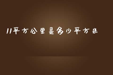 11平方公里是多少平方米_https://wap.jnlaobingbanjia.com_基金分析_第1张