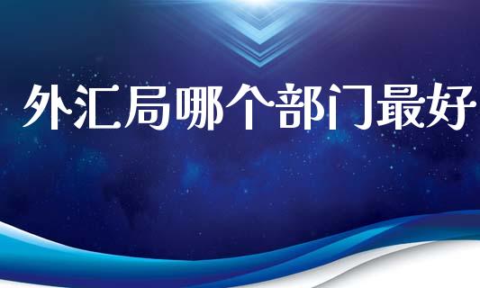 外汇局哪个部门最好_https://wap.jnlaobingbanjia.com_股市行情_第1张