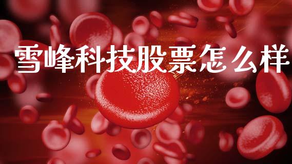 雪峰科技股票怎么样_https://wap.jnlaobingbanjia.com_股市行情_第1张