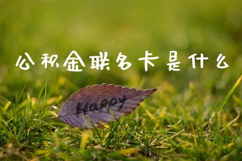 公积金联名卡是什么_https://wap.jnlaobingbanjia.com_证券公告_第1张
