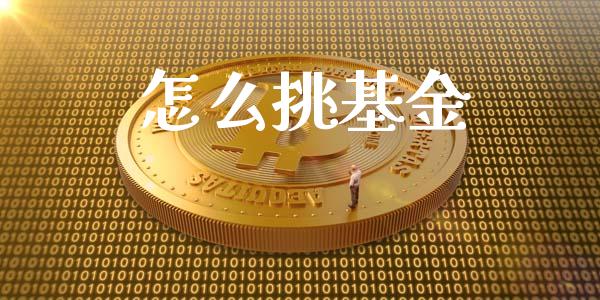 怎么挑基金_https://wap.jnlaobingbanjia.com_金融理财_第1张
