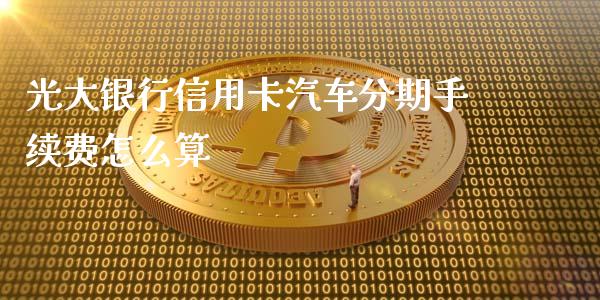光大银行信用卡汽车分期手续费怎么算_https://wap.jnlaobingbanjia.com_财务管理_第1张