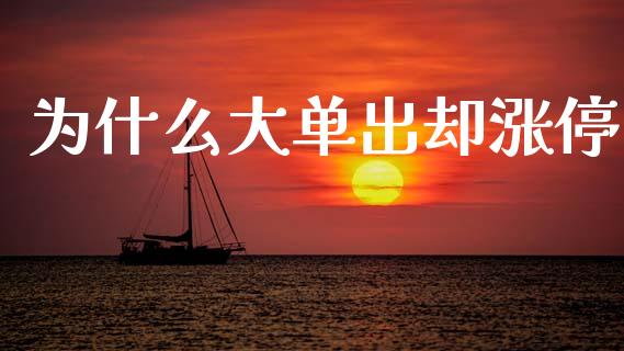 为什么大单出却涨停_https://wap.jnlaobingbanjia.com_证券公告_第1张