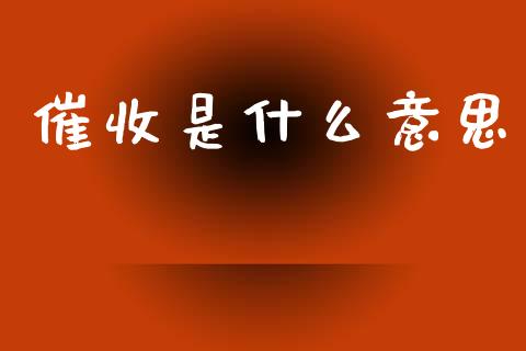 催收是什么意思_https://wap.jnlaobingbanjia.com_证券公告_第1张