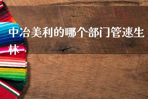 中冶美利的哪个部门管速生林_https://wap.jnlaobingbanjia.com_证券公告_第1张