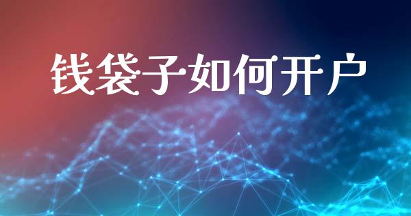 钱袋子如何开户_https://wap.jnlaobingbanjia.com_财务管理_第1张