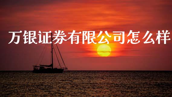 万银证券有限公司怎么样_https://wap.jnlaobingbanjia.com_财经资讯_第1张