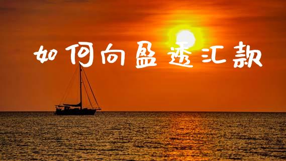 如何向盈透汇款_https://wap.jnlaobingbanjia.com_证券公告_第1张