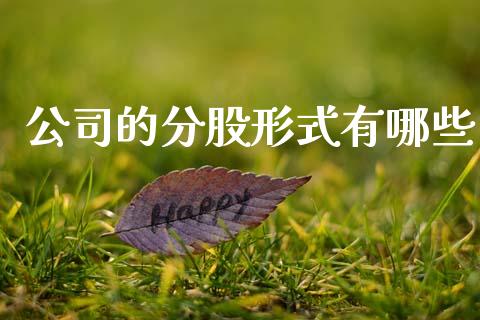 公司的分股形式有哪些_https://wap.jnlaobingbanjia.com_基金分析_第1张