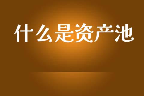 什么是资产池_https://wap.jnlaobingbanjia.com_证券公告_第1张