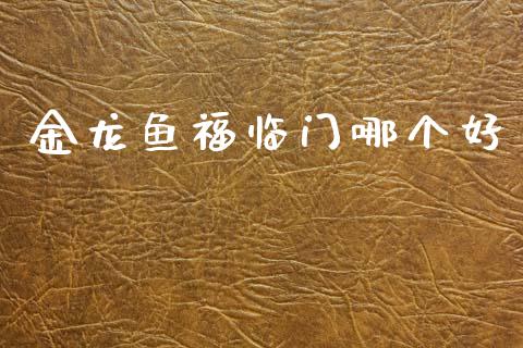 金龙鱼福临门哪个好_https://wap.jnlaobingbanjia.com_财务管理_第1张