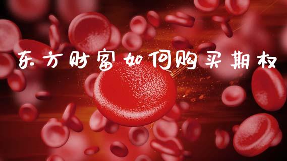 东方财富如何购买期权_https://wap.jnlaobingbanjia.com_基金分析_第1张