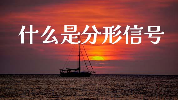 什么是分形信号_https://wap.jnlaobingbanjia.com_金融理财_第1张