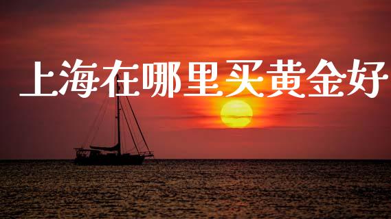 上海在哪里买黄金好_https://wap.jnlaobingbanjia.com_基金分析_第1张