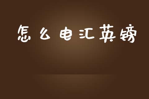 怎么电汇英镑_https://wap.jnlaobingbanjia.com_证券公告_第1张
