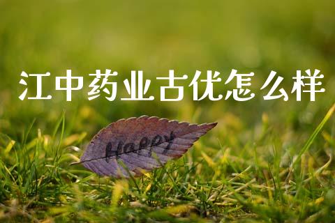 江中药业古优怎么样_https://wap.jnlaobingbanjia.com_基金分析_第1张