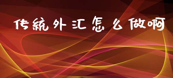 传统外汇怎么做啊_https://wap.jnlaobingbanjia.com_金融理财_第1张