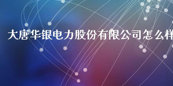 大唐华银电力股份有限公司怎么样_https://wap.jnlaobingbanjia.com_财务管理_第1张