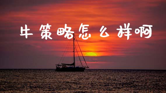 牛策略怎么样啊_https://wap.jnlaobingbanjia.com_财经资讯_第1张