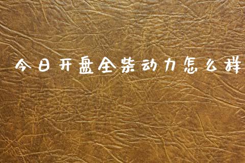 今日开盘全柴动力怎么样_https://wap.jnlaobingbanjia.com_基金分析_第1张