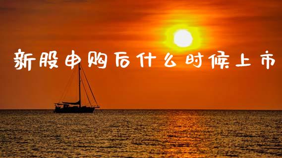 新股申购后什么时候上市_财务管理_第1张_财经资讯_股市行情_财务管理_金融理财 新股申购后什么时候上市_https://wap.jnlaobingbanjia.com_财务管理_第1张