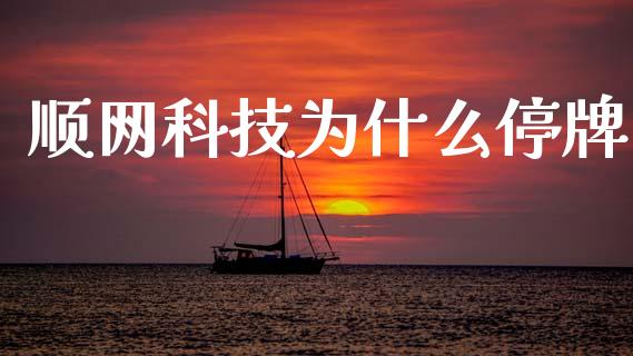 顺网科技为什么停牌_https://wap.jnlaobingbanjia.com_证券公告_第1张