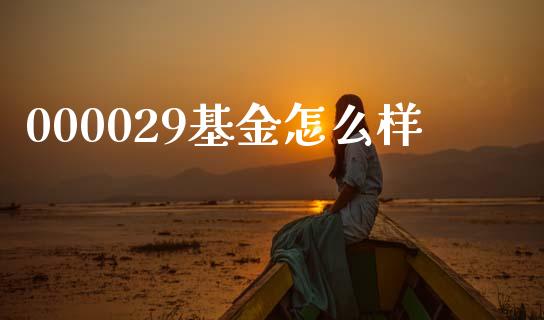 000029基金怎么样_https://wap.jnlaobingbanjia.com_财务管理_第1张