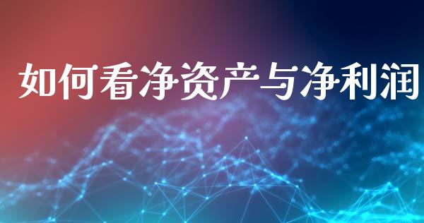 如何看净资产与净利润_https://wap.jnlaobingbanjia.com_证券公告_第1张