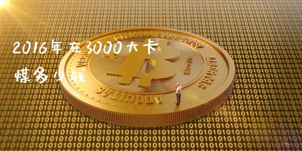 2016年在3000大卡煤多少钱_https://wap.jnlaobingbanjia.com_财务管理_第1张