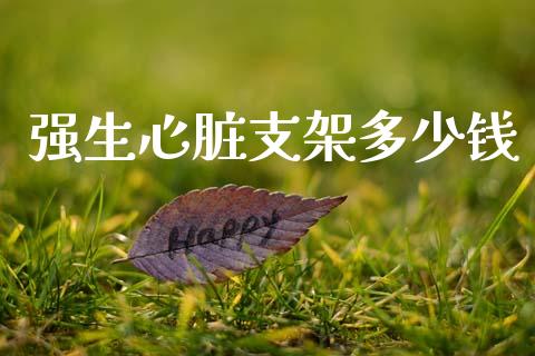强生心脏支架多少钱_https://wap.jnlaobingbanjia.com_基金分析_第1张