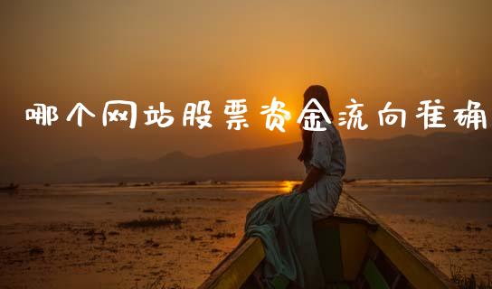 哪个网站股票资金流向准确_https://wap.jnlaobingbanjia.com_股市行情_第1张