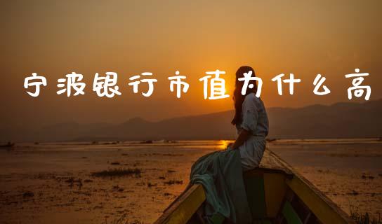 宁波银行市值为什么高_https://wap.jnlaobingbanjia.com_财务管理_第1张