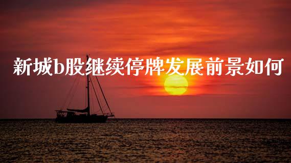 新城b股继续停牌发展前景如何_https://wap.jnlaobingbanjia.com_证券公告_第1张