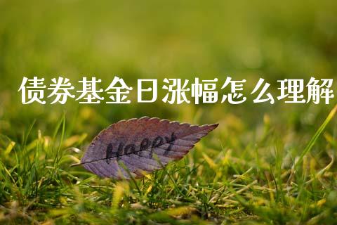 债券基金日涨幅怎么理解_基金分析_第1张_财经资讯_股市行情_财务管理_金融理财 债券基金日涨幅怎么理解_https://wap.jnlaobingbanjia.com_基金分析_第1张