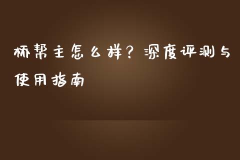 桥帮主怎么样？深度评测与使用指南_https://wap.jnlaobingbanjia.com_财经资讯_第1张