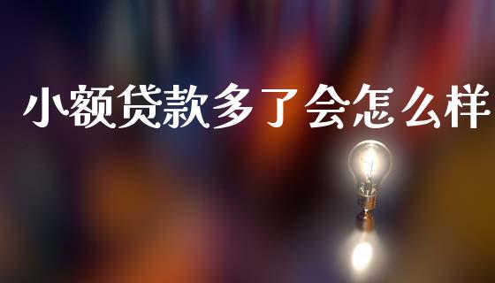小额贷款多了会怎么样_https://wap.jnlaobingbanjia.com_基金分析_第1张