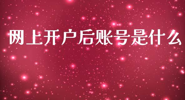 网上开户后账号是什么_https://wap.jnlaobingbanjia.com_财务管理_第1张