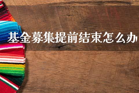基金募集提前结束怎么办_https://wap.jnlaobingbanjia.com_财经资讯_第1张