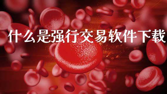 什么是强行交易软件下载_财务管理_第1张_财经资讯_股市行情_财务管理_金融理财 什么是强行交易软件下载_https://wap.jnlaobingbanjia.com_财务管理_第1张