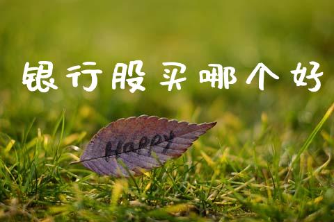 银行股买哪个好_https://wap.jnlaobingbanjia.com_证券公告_第1张