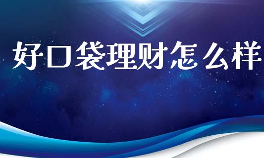 好口袋理财怎么样_https://wap.jnlaobingbanjia.com_财经资讯_第1张