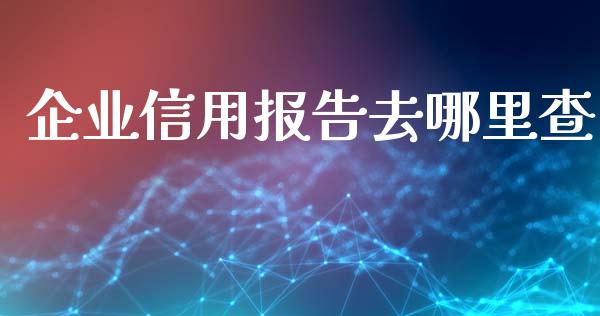 企业信用报告去哪里查_https://wap.jnlaobingbanjia.com_证券公告_第1张