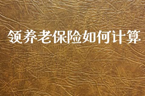 领养老保险如何计算_https://wap.jnlaobingbanjia.com_证券公告_第1张