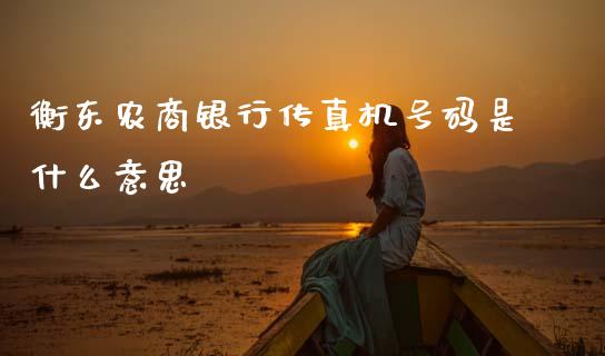 衡东农商银行传真机号码是什么意思_https://wap.jnlaobingbanjia.com_财经资讯_第1张