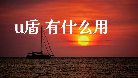 u盾 有什么用_https://wap.jnlaobingbanjia.com_财务管理_第1张