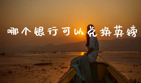 哪个银行可以兑换英镑_https://wap.jnlaobingbanjia.com_财经资讯_第1张