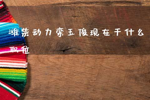 潍柴动力栾玉俊现在干什么职位_https://wap.jnlaobingbanjia.com_金融理财_第1张