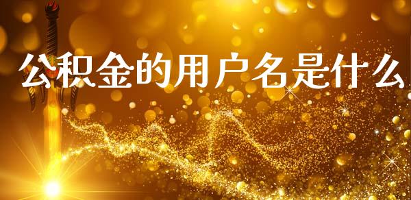 公积金的用户名是什么_https://wap.jnlaobingbanjia.com_基金分析_第1张